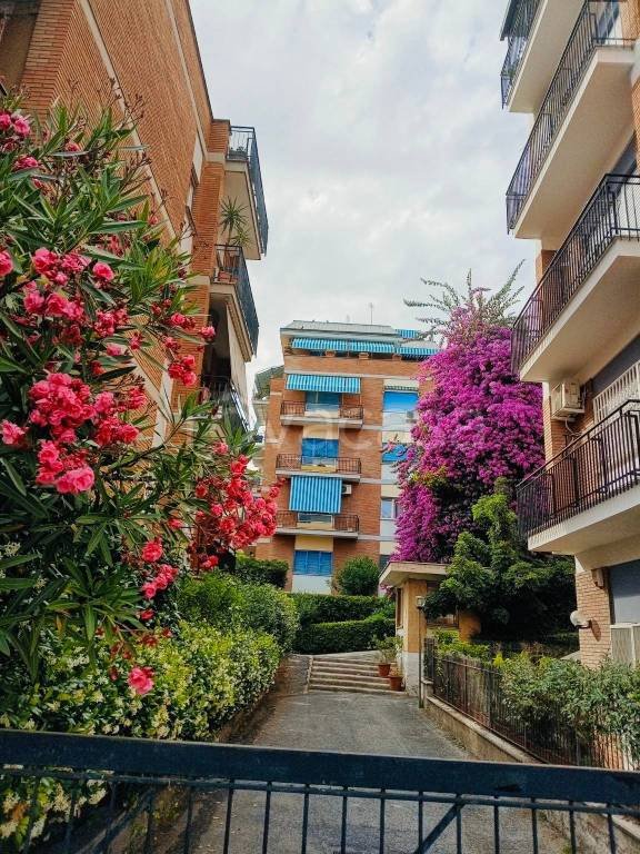 appartamento in affitto a Roma in zona Primavalle