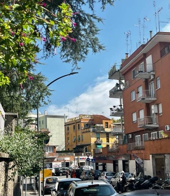 appartamento in affitto a Roma in zona Monte Sacro/Talenti