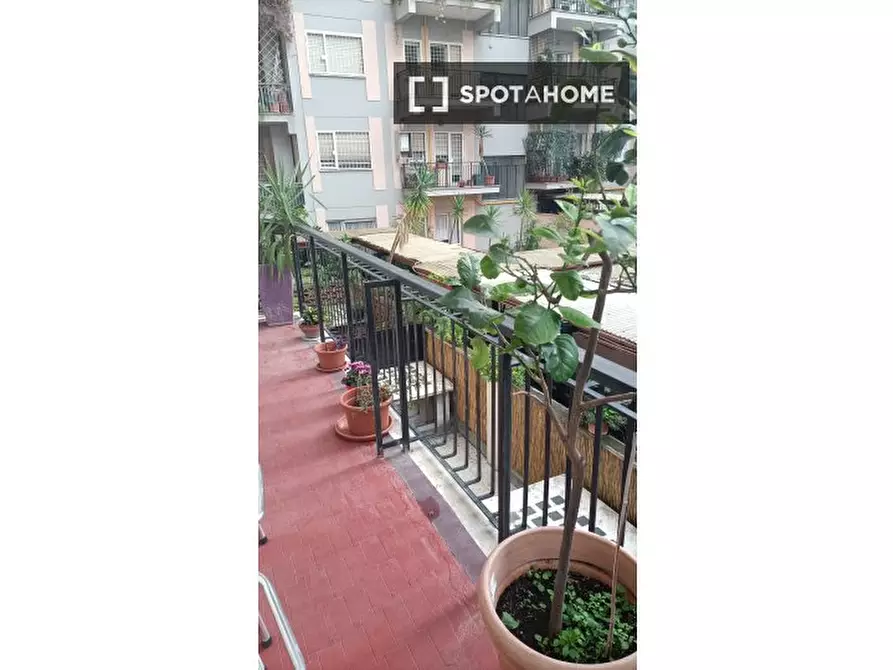 appartamento in affitto a Roma in zona Ostiense