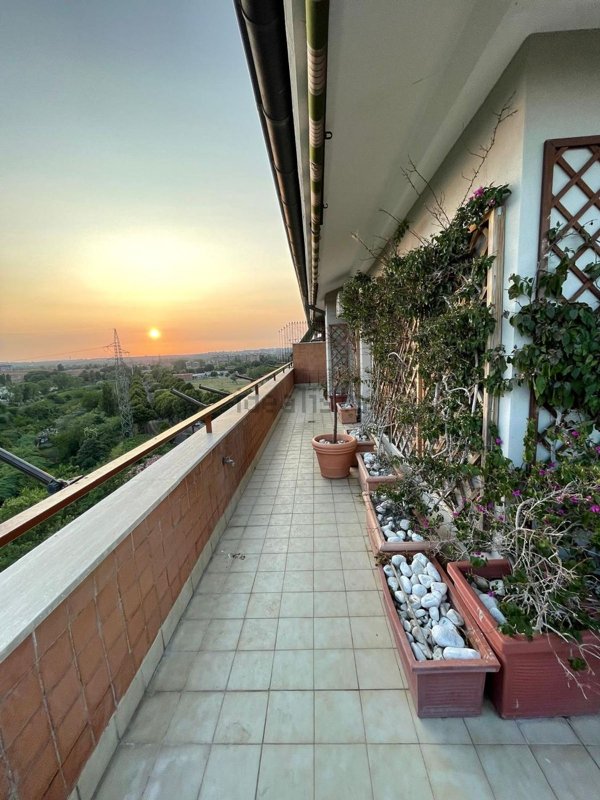 appartamento in affitto a Roma in zona Torrino