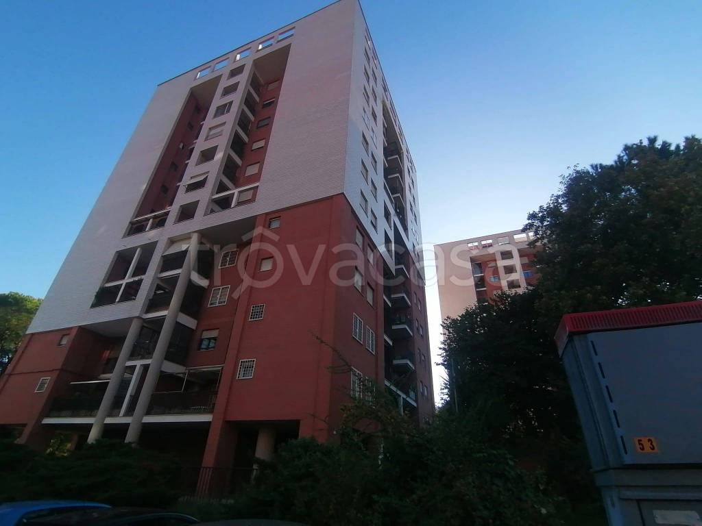 appartamento in affitto a Roma in zona Collatino