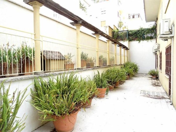 appartamento in affitto a Roma in zona Parioli