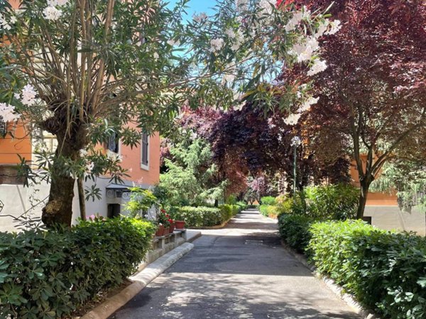 appartamento in affitto a Roma in zona Flaminio
