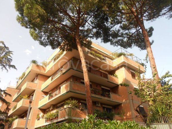 appartamento in affitto a Roma in zona Monte Sacro/Talenti