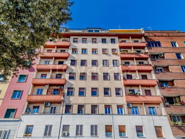 appartamento in affitto a Roma in zona Flaminio