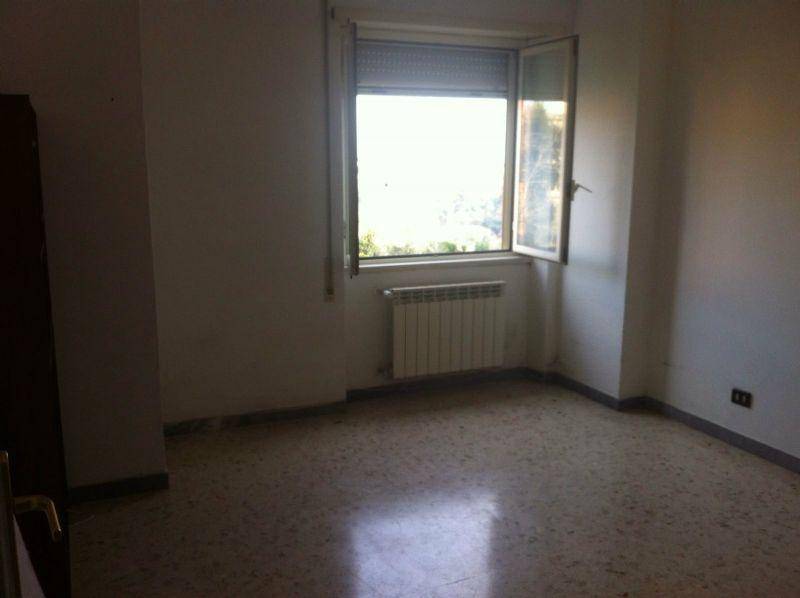 appartamento in affitto a Roma in zona Trionfale