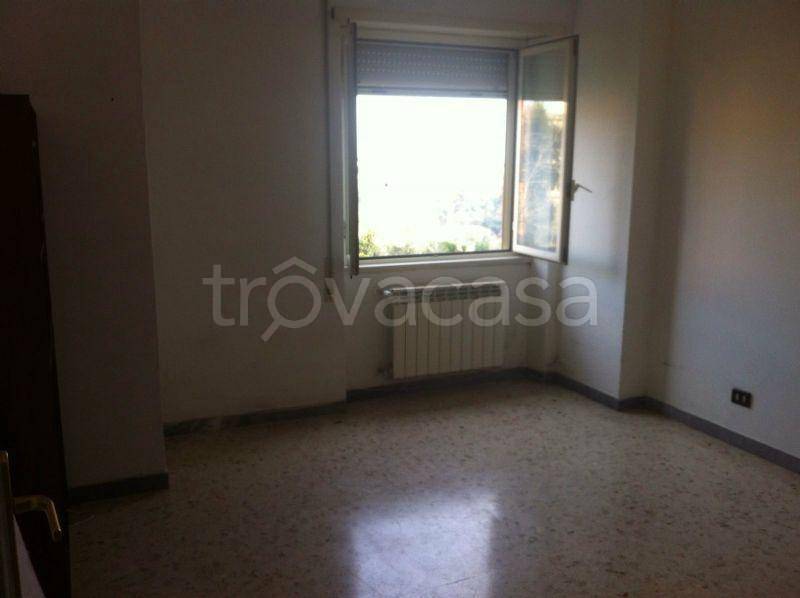 appartamento in affitto a Roma in zona Trionfale