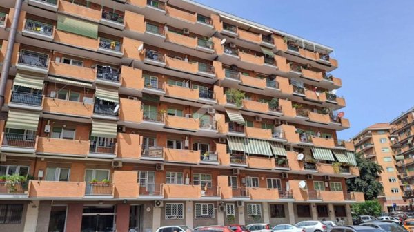 appartamento in affitto a Roma in zona Appio Latino