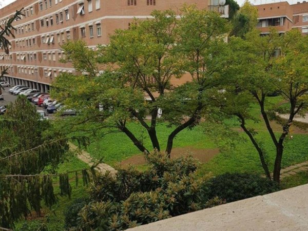 appartamento in affitto a Roma in zona Torrino