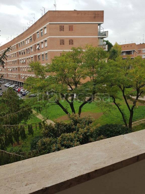 appartamento in affitto a Roma in zona Torrino