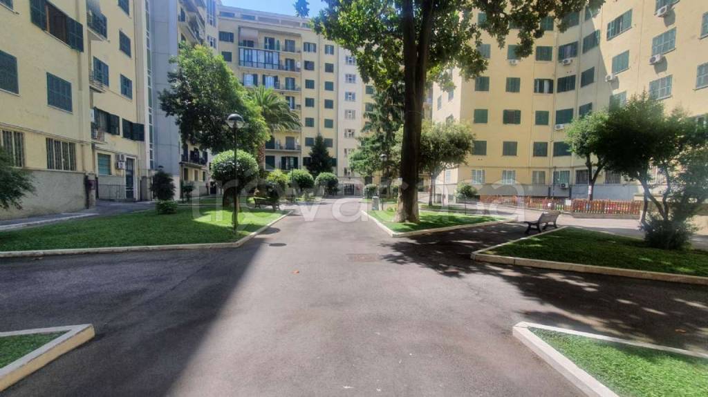 appartamento in affitto a Roma in zona Collatino