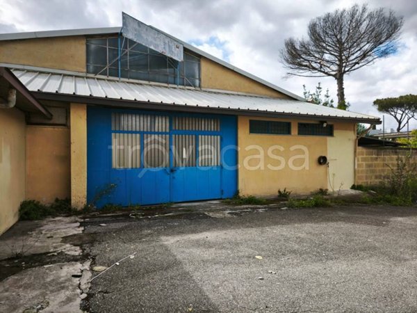 locale commerciale in affitto a Roma