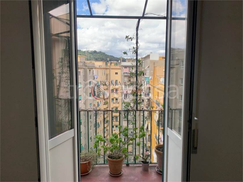 appartamento in affitto a Roma in zona Flaminio