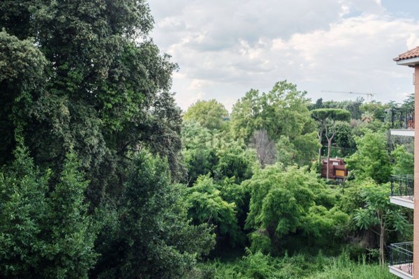 appartamento in affitto a Roma in zona Trionfale