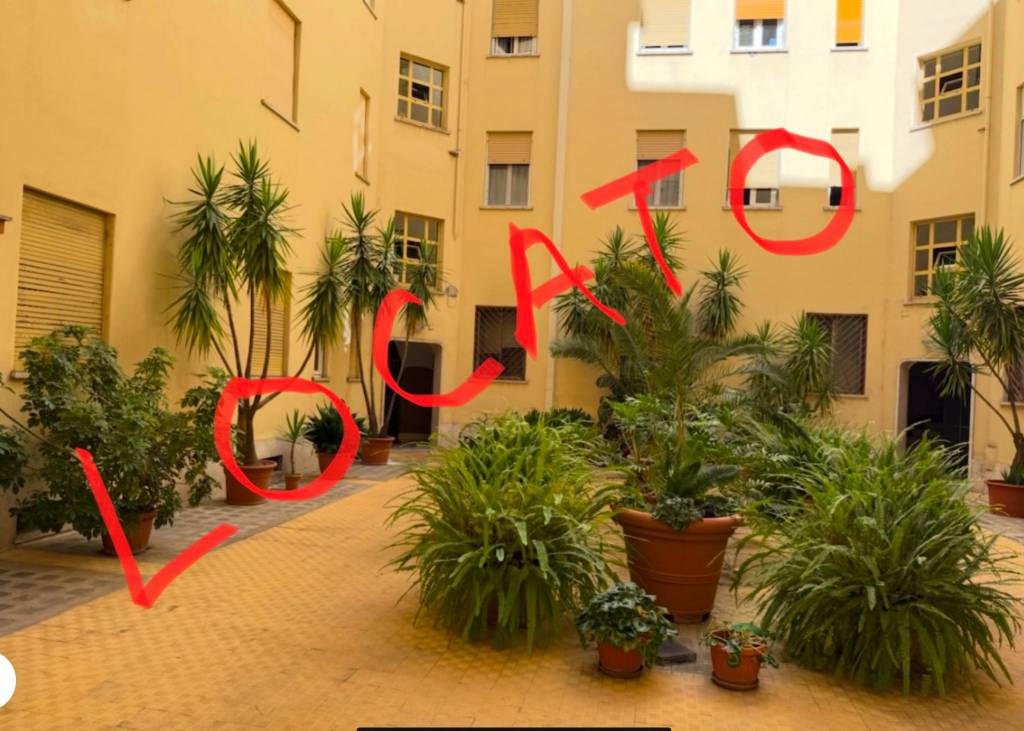 appartamento in affitto a Roma in zona Tuscolano