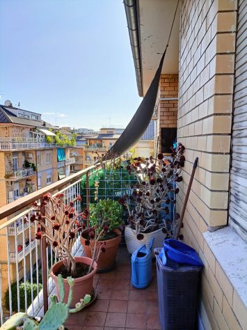 camera singola in affitto a Roma in zona Collatino