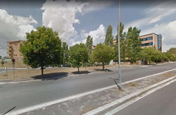 ufficio in affitto a Roma in zona Monte Sacro/Talenti
