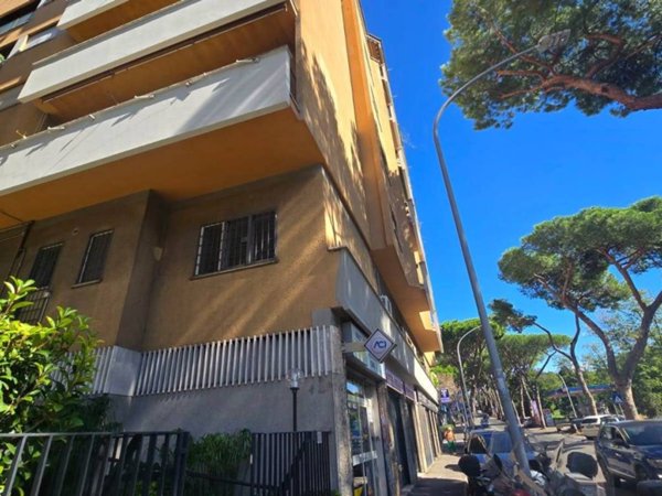appartamento in affitto a Roma in zona Monte Sacro/Talenti