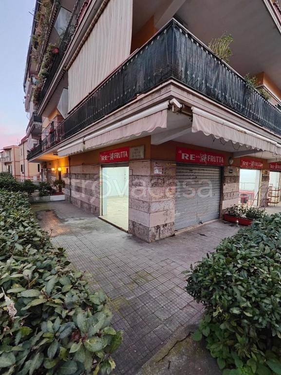 appartamento in affitto a Roma in zona Torrevecchia