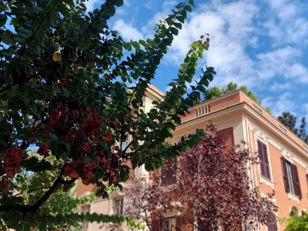 appartamento in affitto a Roma in zona Parioli