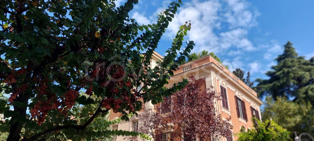 appartamento in affitto a Roma in zona Parioli