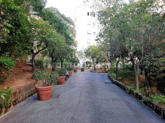 camera singola in affitto a Roma in zona Monte Sacro/Talenti