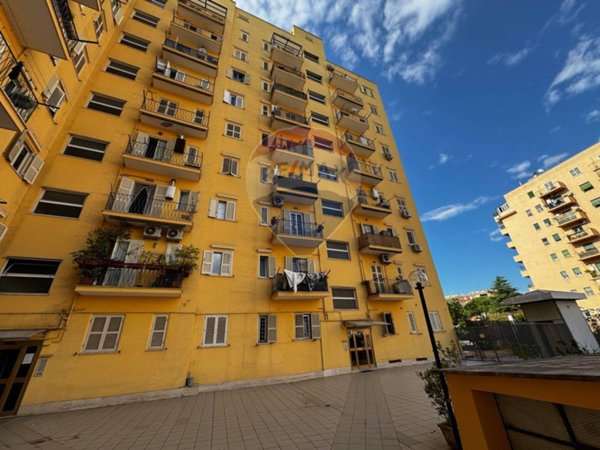 appartamento in affitto a Roma in zona Ostiense