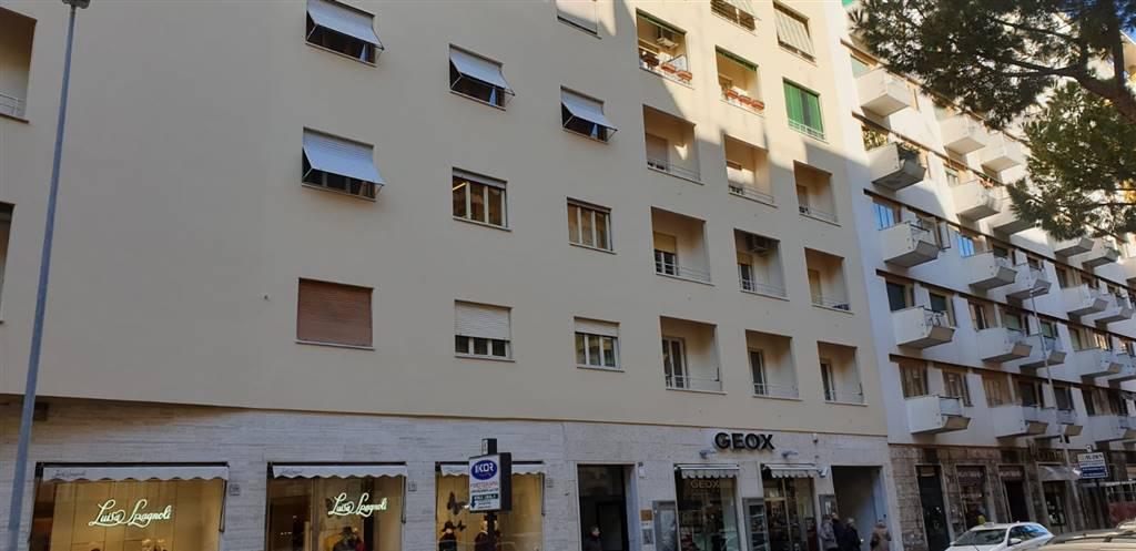 appartamento in affitto a Roma in zona Trieste