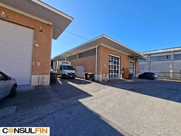 negozio in affitto a Roma in zona Tor Vergata/Torrenova