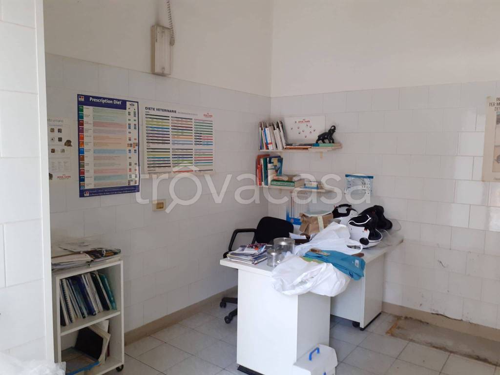 negozio in affitto a Roma in zona Tor Sapienza