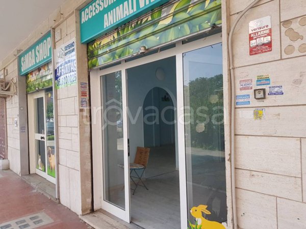 negozio in affitto a Roma in zona Pietralata