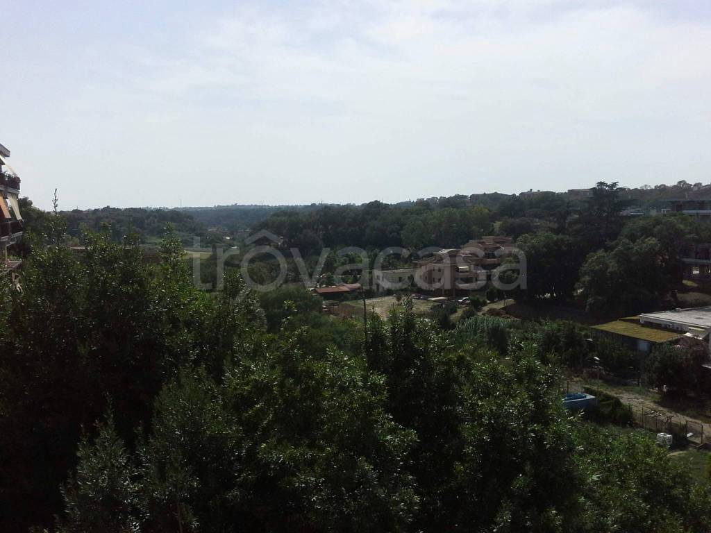 appartamento in affitto a Roma in zona La Pisana