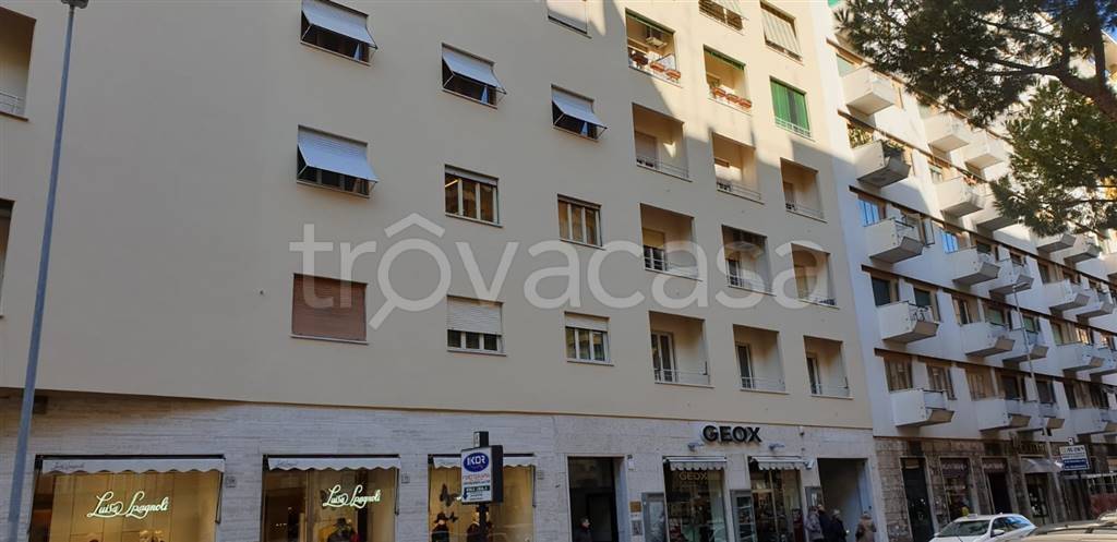 appartamento in affitto a Roma in zona Trieste