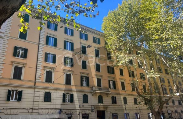 appartamento in affitto a Roma in zona Trieste