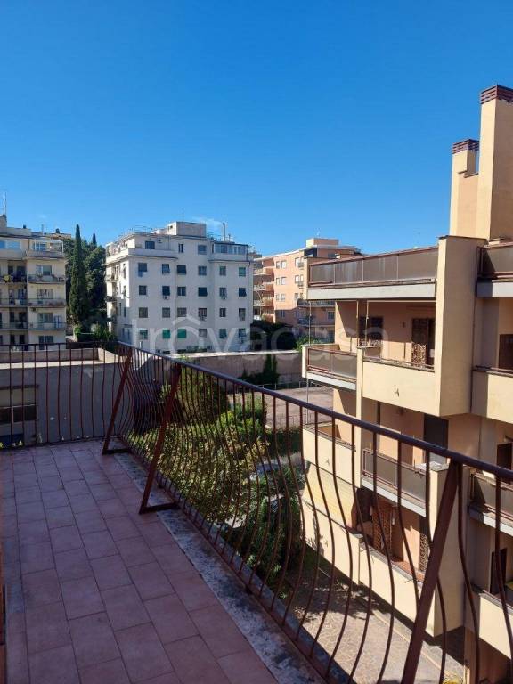appartamento in affitto a Roma in zona Monte Sacro/Talenti