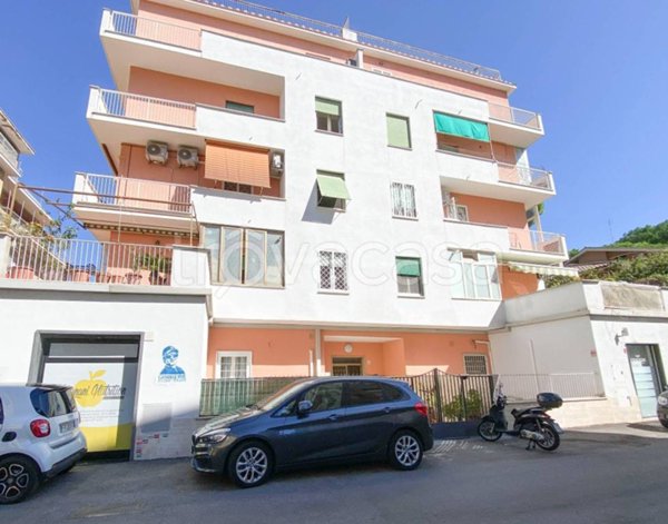 appartamento in affitto a Roma in zona Trionfale