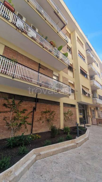 appartamento in affitto a Roma in zona Appio Latino