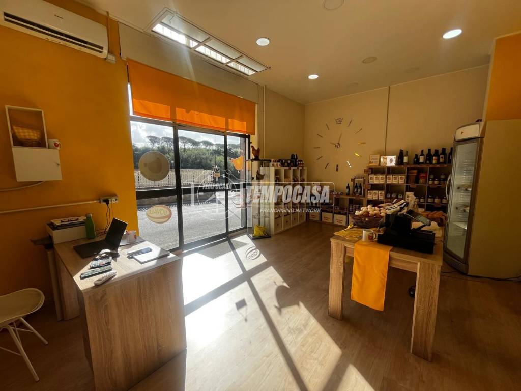 appartamento in affitto a Roma in zona Casalotti