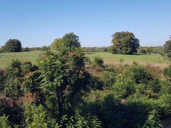 appartamento in affitto a Roma in zona Appio Latino