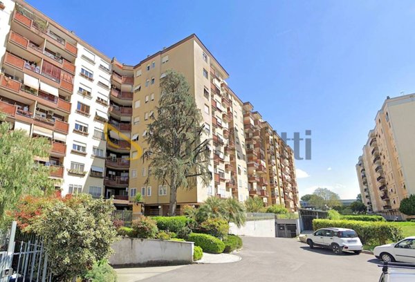 appartamento in affitto a Roma in zona Collatino