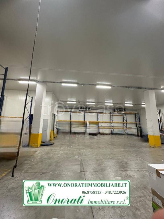 capannone in affitto a Roma in zona Tor Cervara