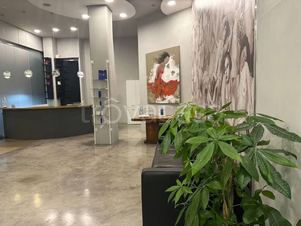 appartamento in affitto a Roma in zona Parioli