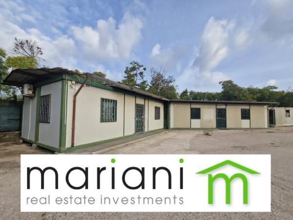 terreno agricolo in affitto a Roma in zona Torricola