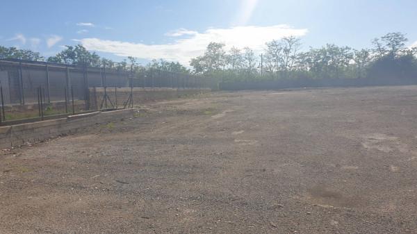 terreno agricolo in affitto a Roma in zona Torricola