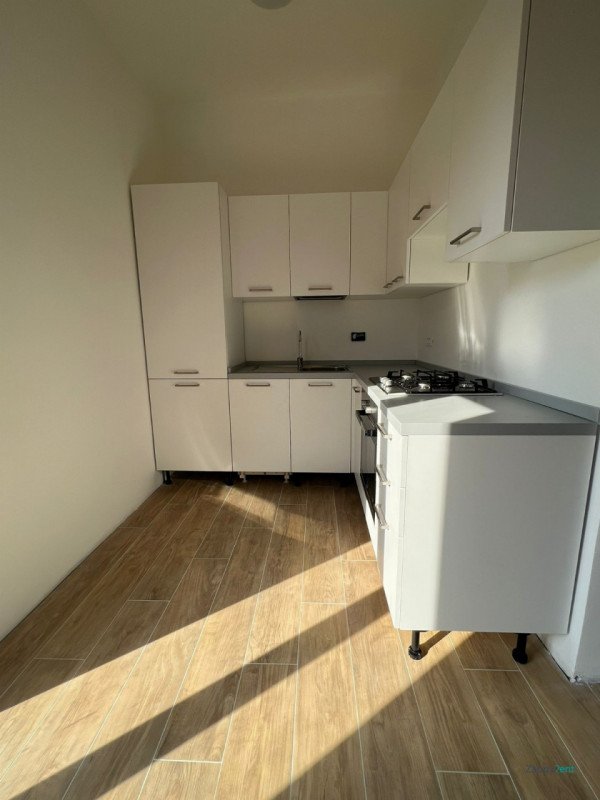 appartamento in affitto a Roma in zona Monte Sacro/Talenti