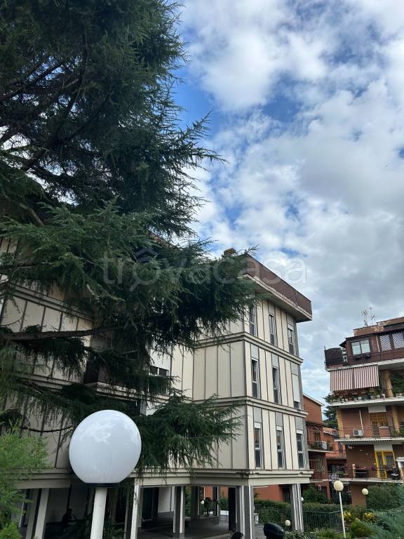 appartamento in affitto a Roma in zona Giuliano Dalmata