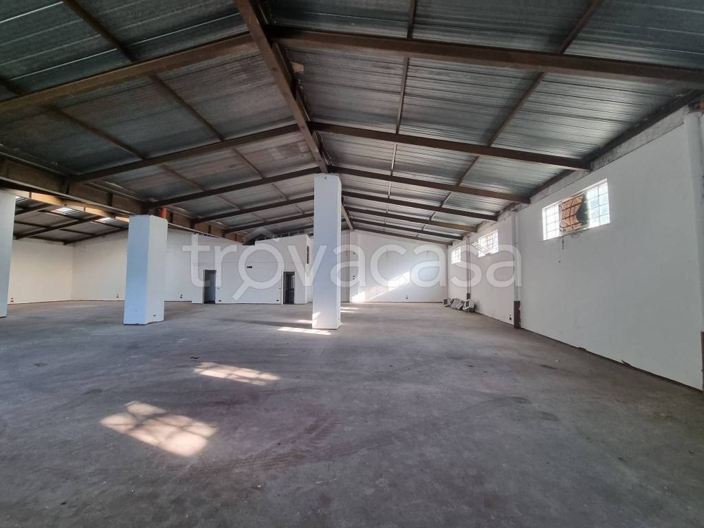 negozio in affitto a Roma in zona Appio Latino