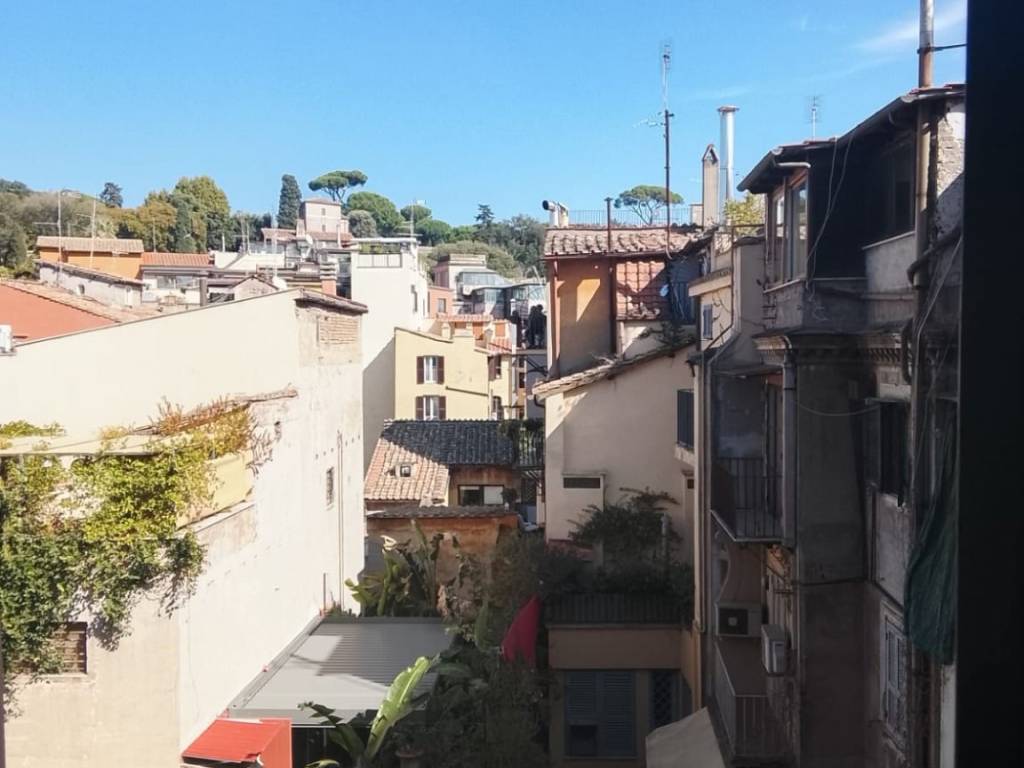 appartamento in affitto a Roma in zona Campo Marzio