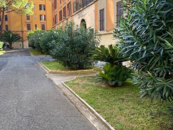 appartamento in affitto a Roma in zona Flaminio