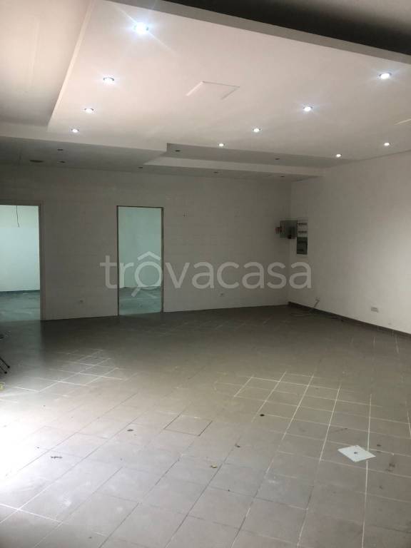 immagine annuncio 0 di 11